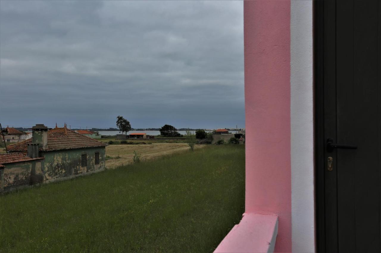 Villa Ria De Aveiro White House Murtosa Esterno foto